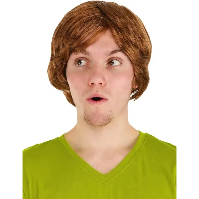 Perruque shaggy pour homme, perruques amusantes des années 70 pour hommes, pour costumes de discothè