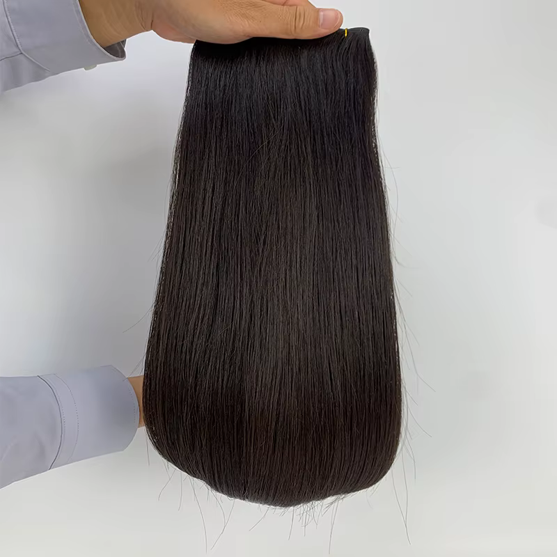Extensions de cheveux de trame de génie vierge russe à Double tirage Extensions teintes alignées de