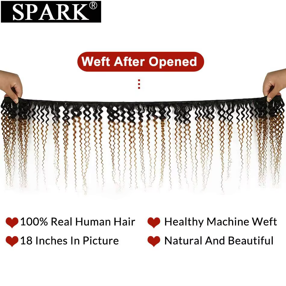 Extensions de cheveux humains Spark Afro Kinky Curly Ombré 100% Remy, mèches brésiliennes, lots de 1