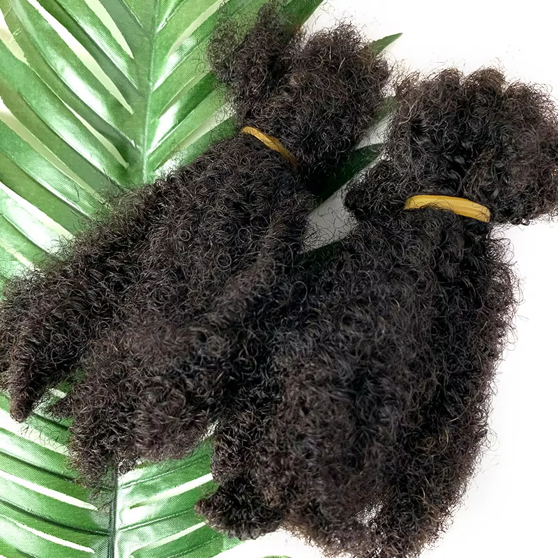 Extensions de cheveux Afro crépus bouclés, Microlocs, tressage humain, cheveux en vrac pour tresser,