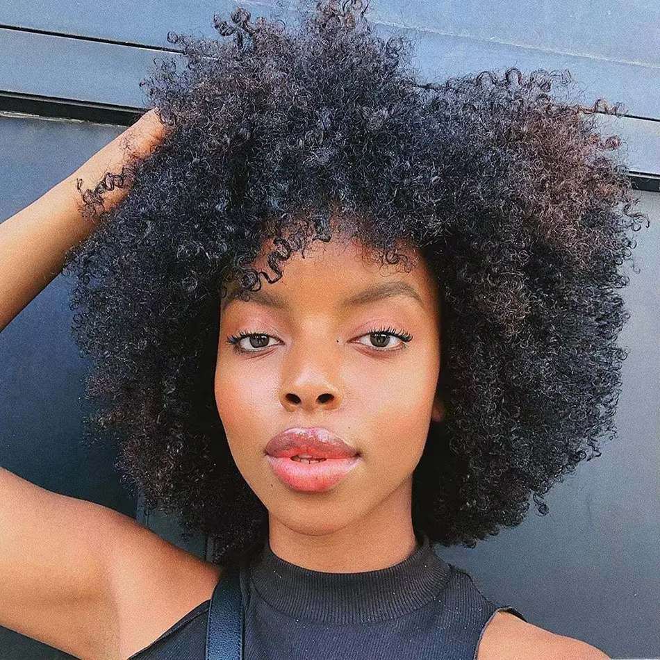Mongol court 4B 4C perruques Afro crépus bouclés Bob perruque brésilienne perruque cheveux humains p