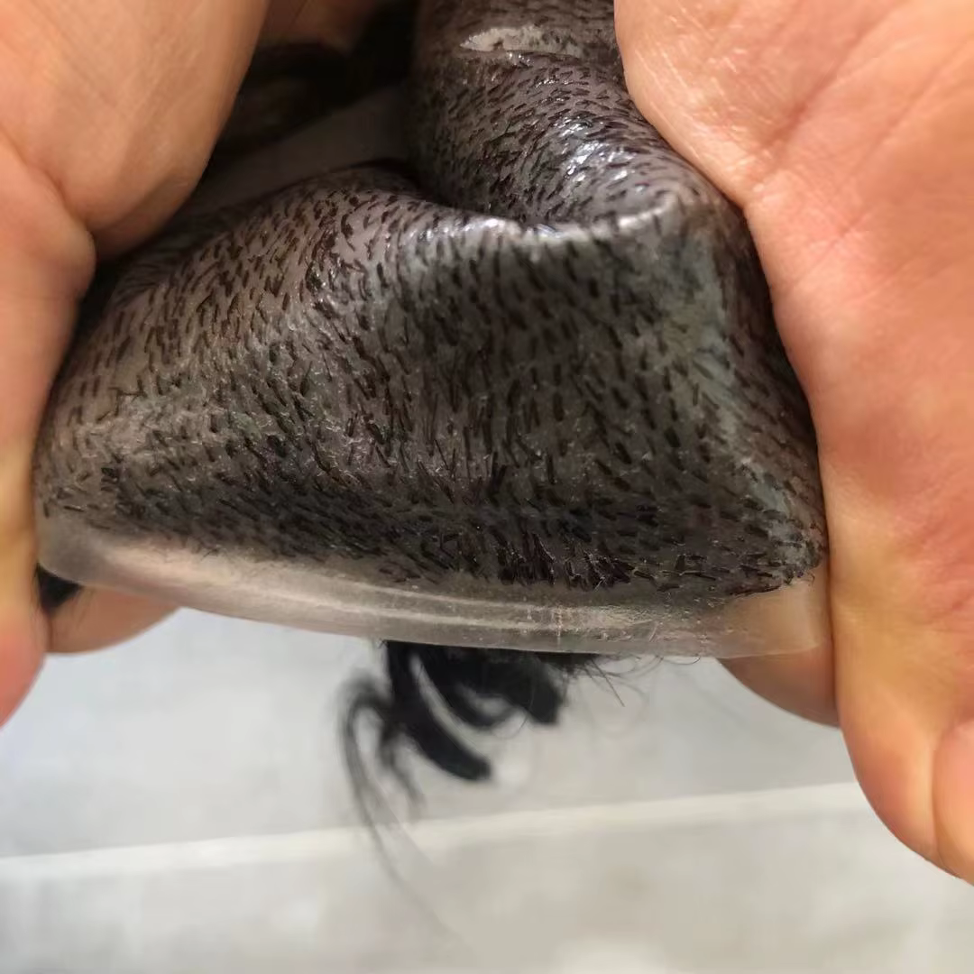 Toupet pour hommes, Base entièrement managable, super durable, naissance des cheveux naturelle boucl
