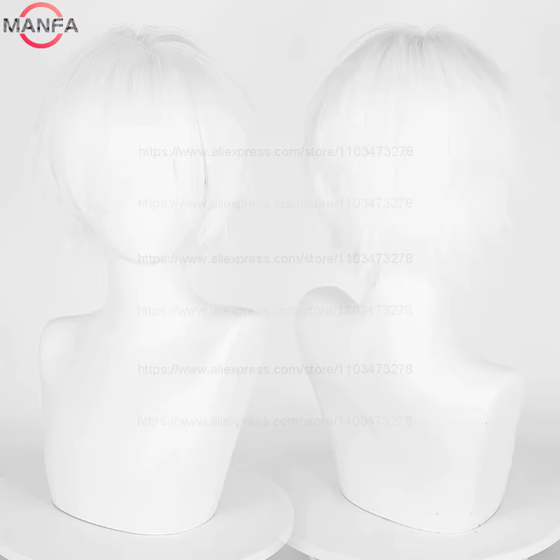 Perruque de Cosplay synthétique courte et lisse de 30cm, cheveux synthétiques résistants à la chaleu