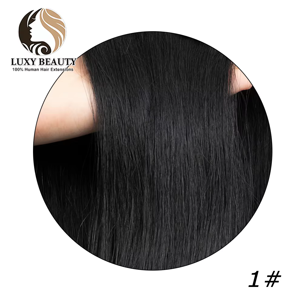 Extensions de Cheveux Humains avec Trame de Plumes, Ligne de Poisson Naturelle, Non-Remy, Micro Anne