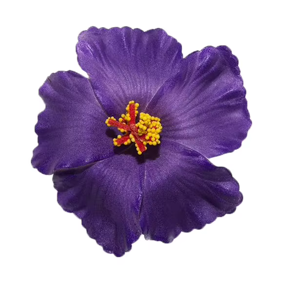 Bandeau de cheveux en fleurs d'hibiscus, pince à cheveux, fête sur la plage, mariage, accessoire flo