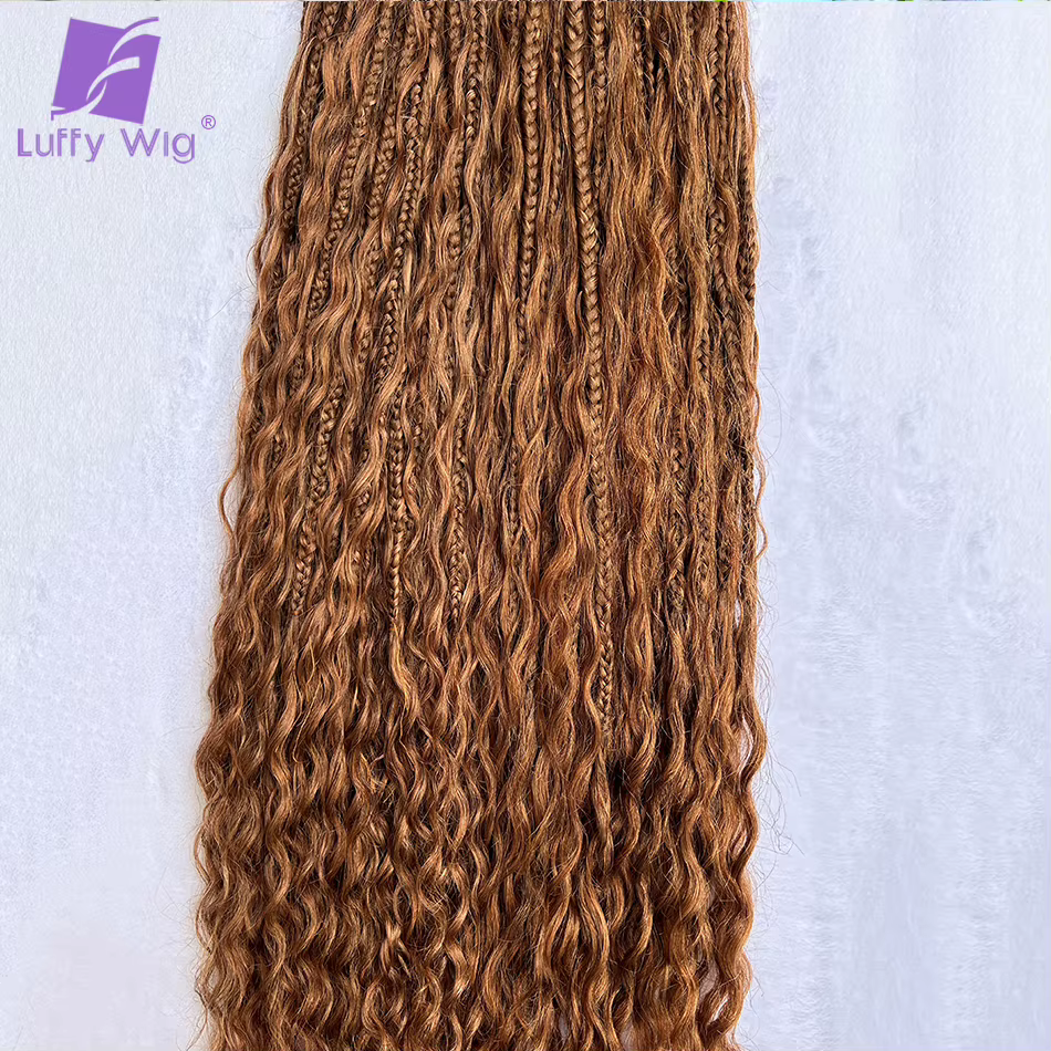 Tresses Boho au Crochet pour Femme, Cheveux Humains Bouclés, Extrémités Complètes, Tressage Pré Bouc