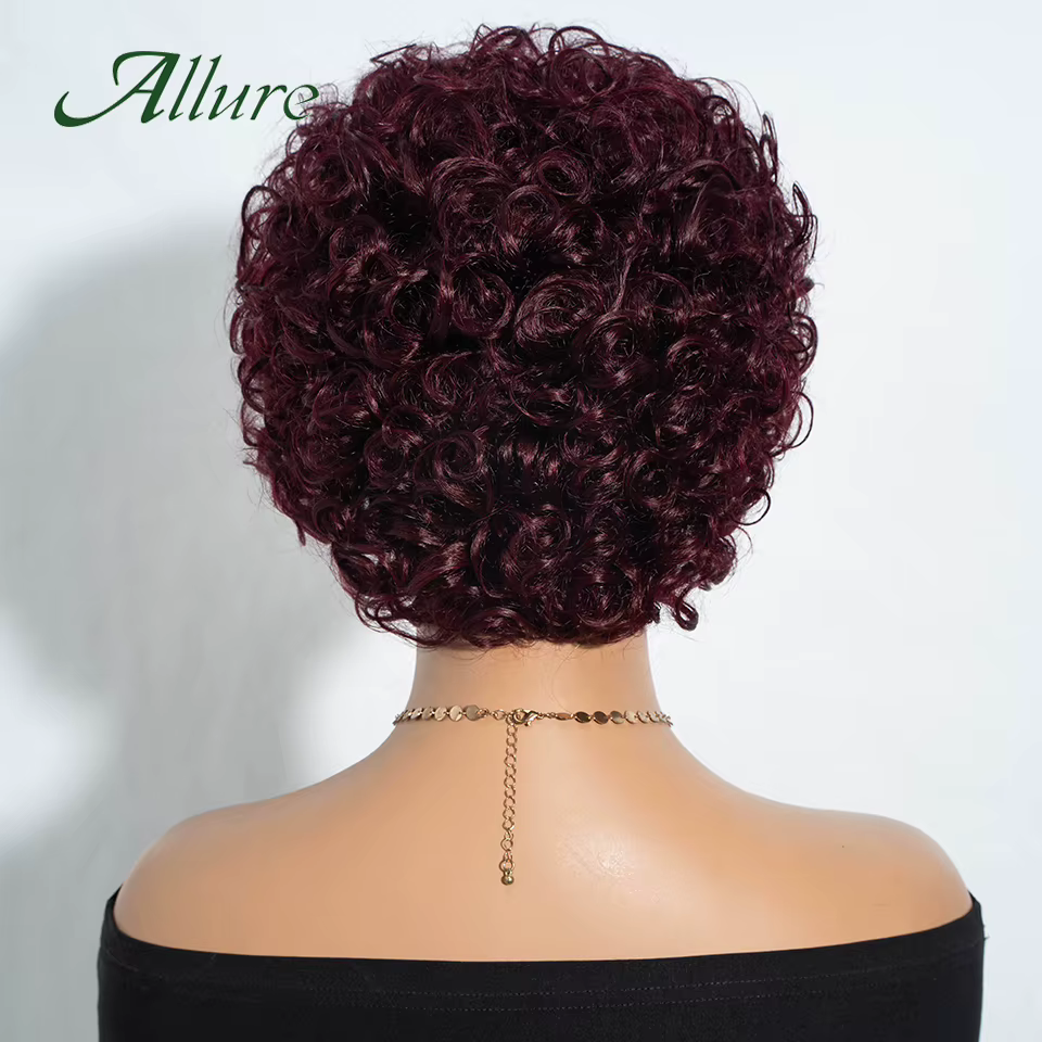 Perruques en cheveux humains Jerry Curly pour femmes noires, perruque courte pixie afro bouclée de 1