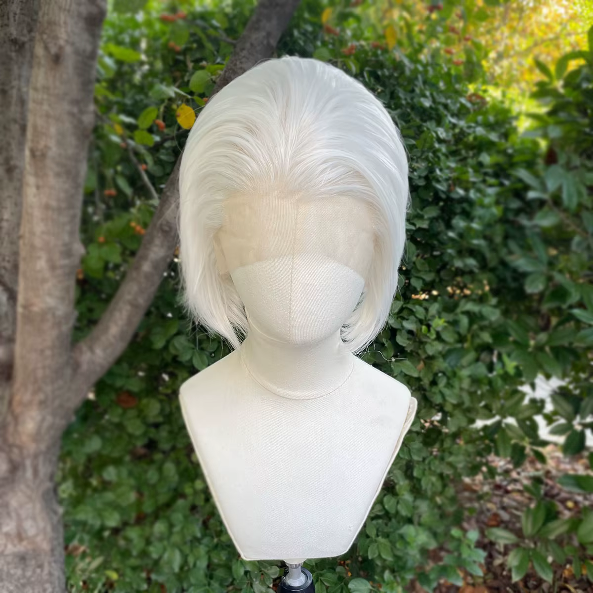 Perruque Lace Front Wig synthétique courte coupe Bob, perruque de Cosplay pour hommes et femmes, cou