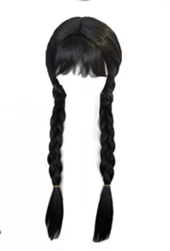 Perruque de Cosplay de Costume d'anime, perruques tressées violettes pour femmes et hommes, accessoi