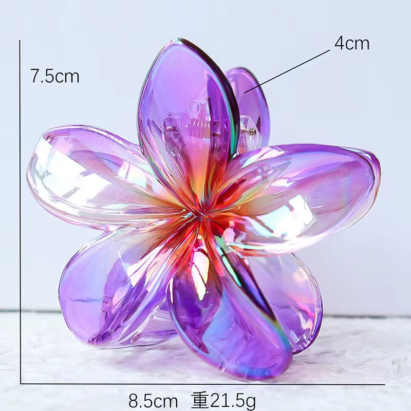 Pince à cheveux en acrylique pour femmes, grande fleur dégradée, griffes douces, pince à crabe, Barr