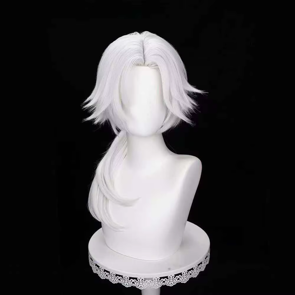 Perruque de Cosplay Anime The Freak Circus Pierrot pour hommes et femmes, cheveux longs blanc argent