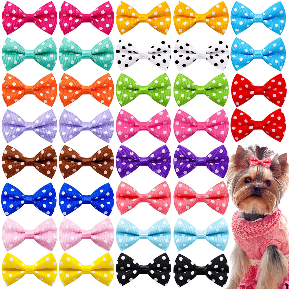 Pinces à cheveux pour chien, 10 pièces, Style d'été frais, couleur unie, pince à cheveux pour animau