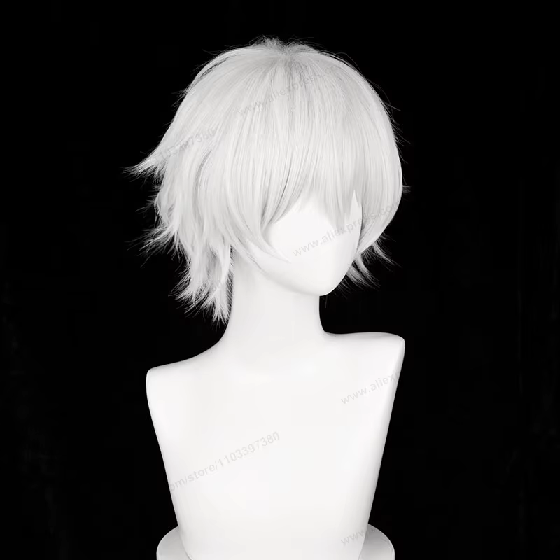 Kaneki Ken Cosplay perruque 30 cm court argent blanc homme cheveux Anime résistant à la chaleur perr