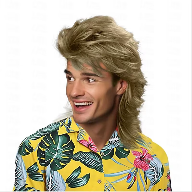 HAIRJOY – perruques synthétiques mulet pour hommes, perruques synthétiques de fête costumée des anné