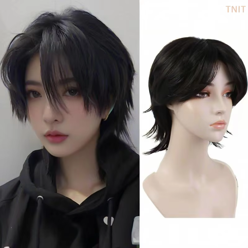 Perruque de cosplay synthétique courte et droite, style queue de loup, résistante à la chaleur, avec