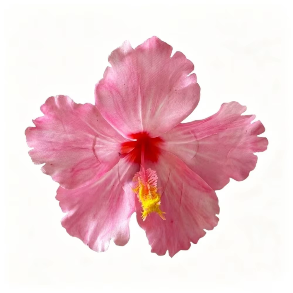 Pince à cheveux fleur d'hibiscus artificielle, style bohème, n'abîme pas les cheveux, pour franges, 