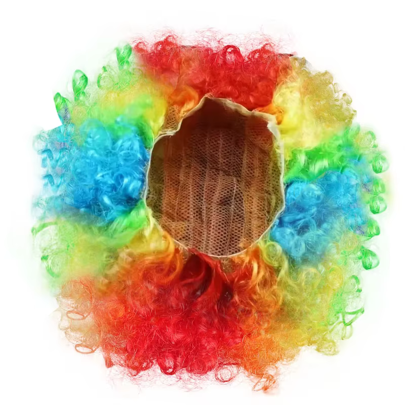 Perruque de Clown colorée perruque synthétique Afro bouclée Cosplay pour hommes femmes perruque de f