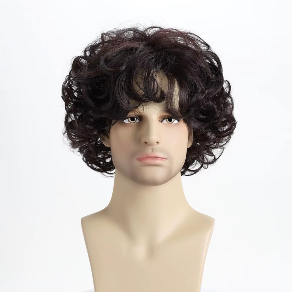 Perruque synthétique ondulée courte bouclée naturelle brune de 10 pouces pour hommes jeunes hommes,