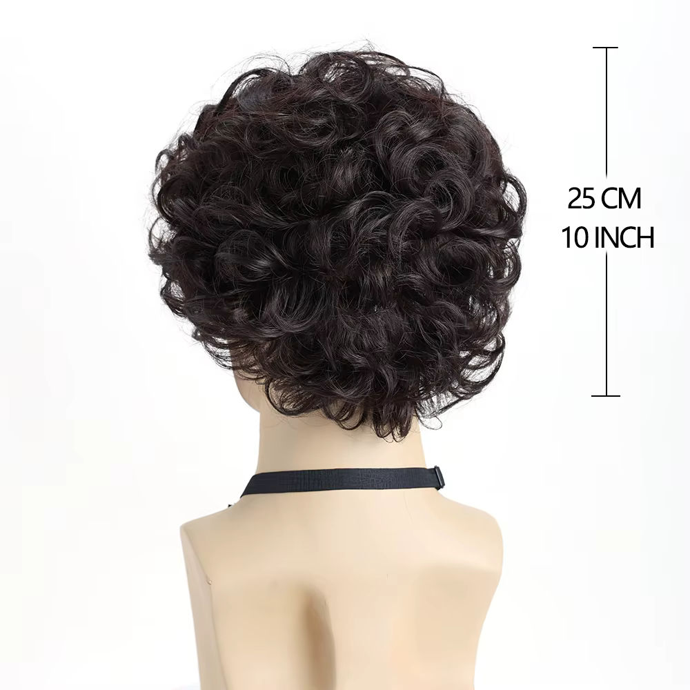 Perruque synthétique ondulée courte bouclée naturelle brune de 10 pouces pour hommes jeunes hommes,