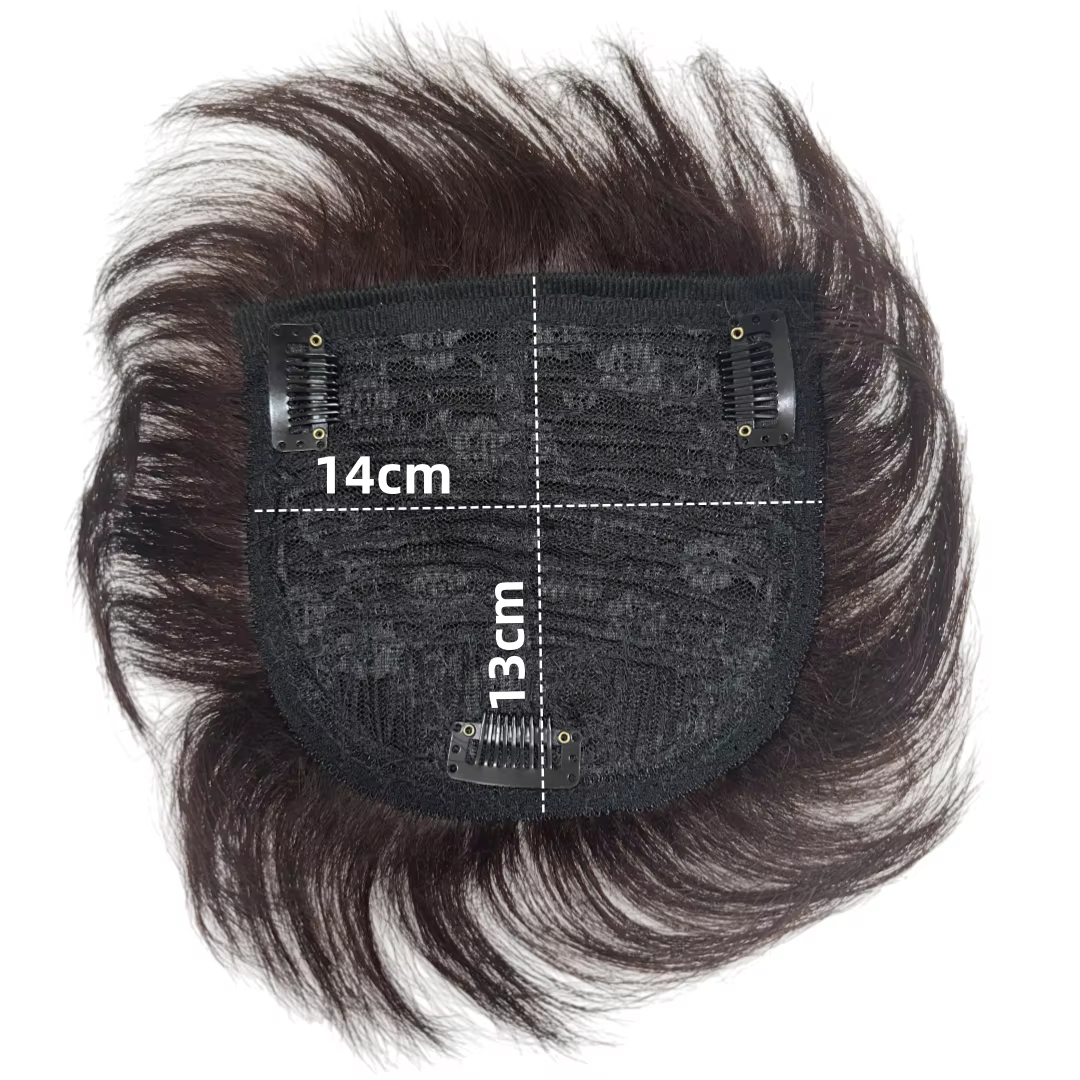 Perruque courte en cheveux humains pour hommes et femmes, brun foncé, lisse naturel, clipsables, pou
