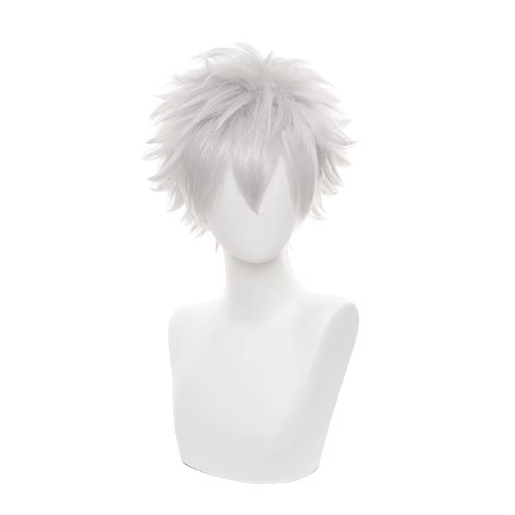 Hunter x Hunter Killua Zoldyck perruque courte hommes perruque Cosplay argent Shaggy couches résista
