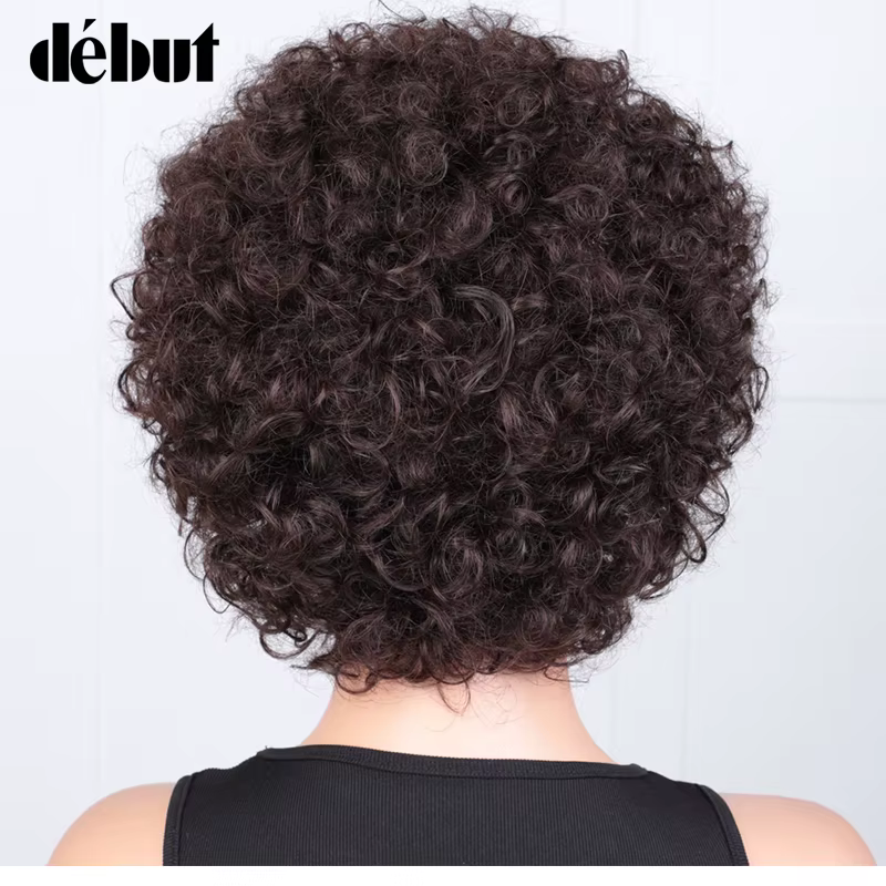 Perruque courte Pixie Afro crépue bouclée perruque Bob brune naturelle avec frange perruques de chev