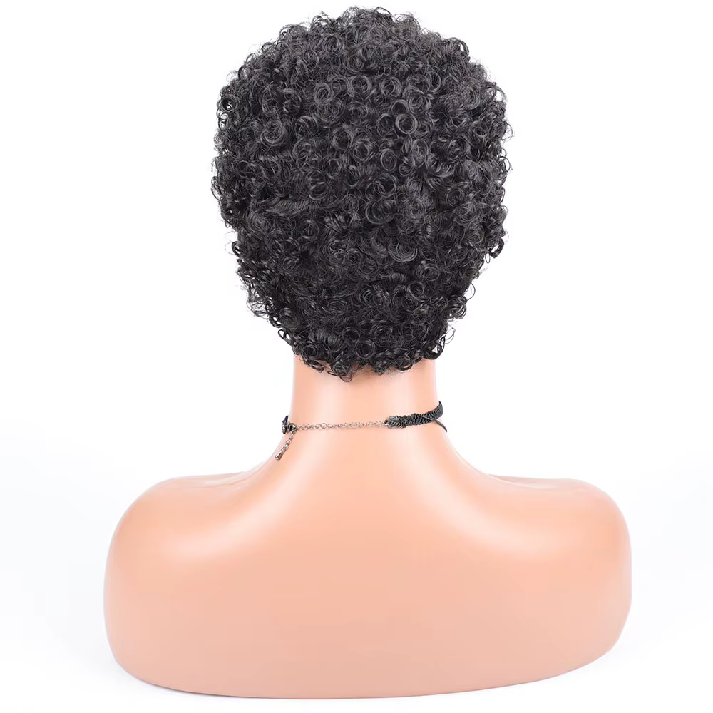 Perruques synthétiques Afro courtes bouclées pour femmes noires