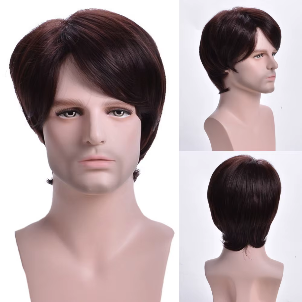 Perruque Synthétique Courte Droite Grise Argentée pour Homme