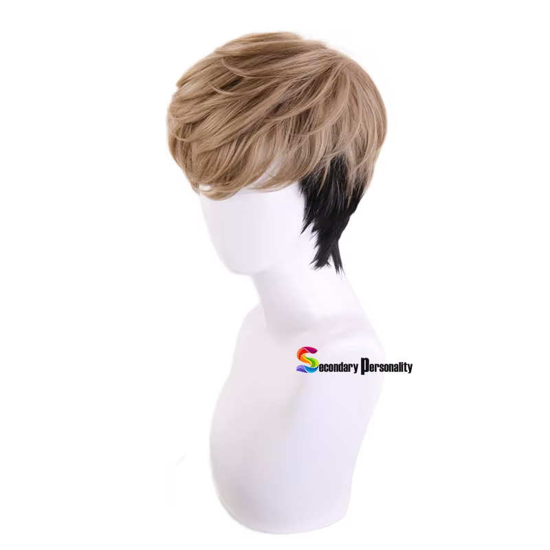 Perruque de Cosplay courte pour hommes