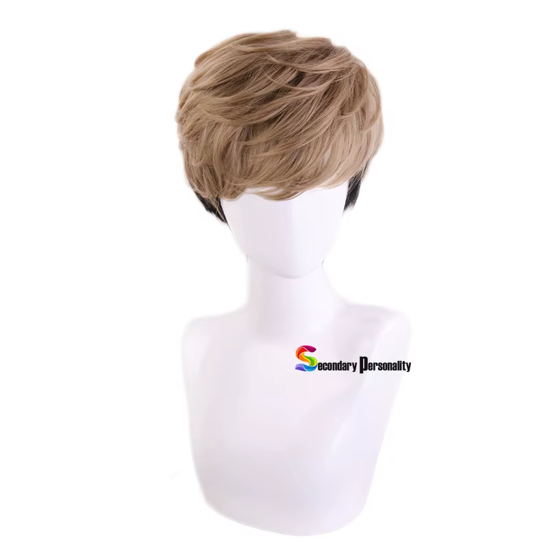 Perruque de Cosplay courte pour hommes