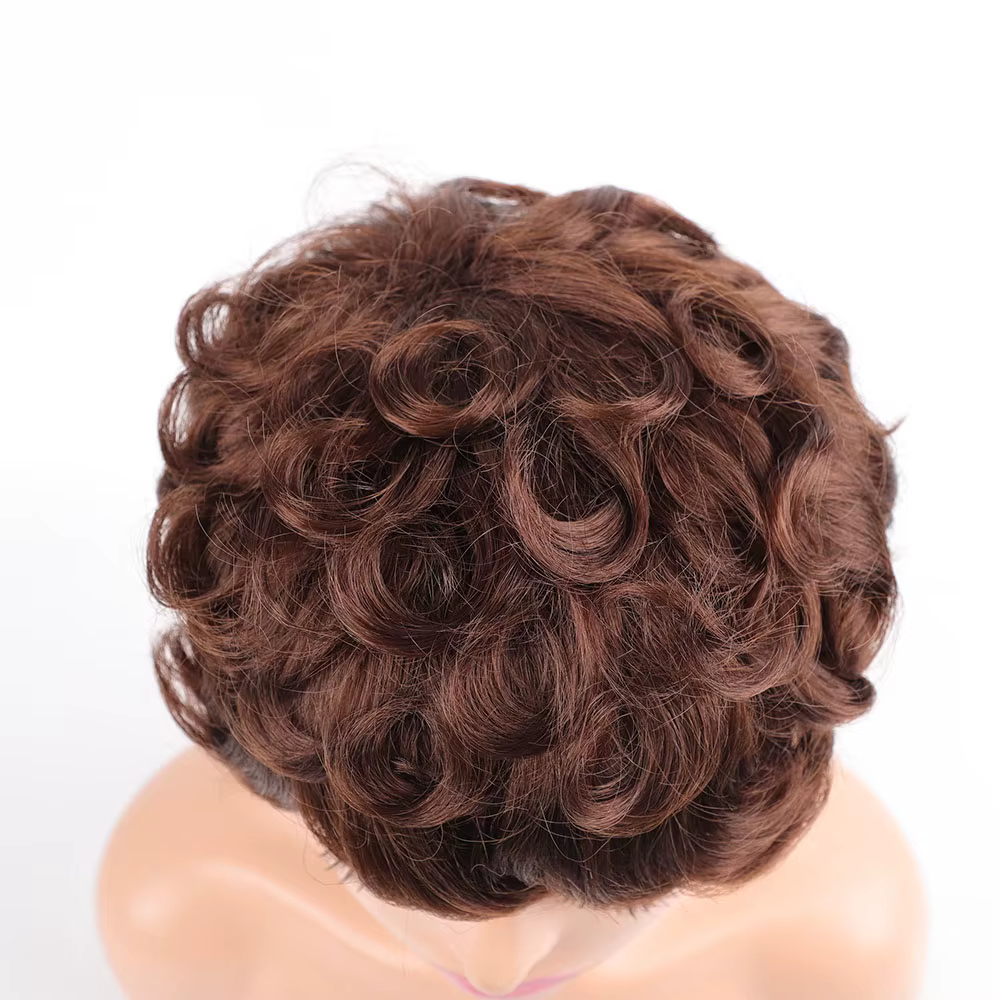 Perruques courtes pour femmes cheveux bouclés coupe courte perruque synthétique de haute qualité Afro femme artificielle faux Extensions d'usine originales