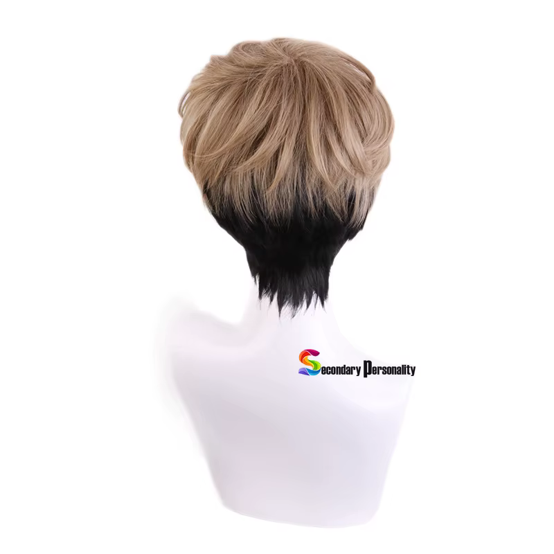 Perruque de Cosplay courte pour hommes