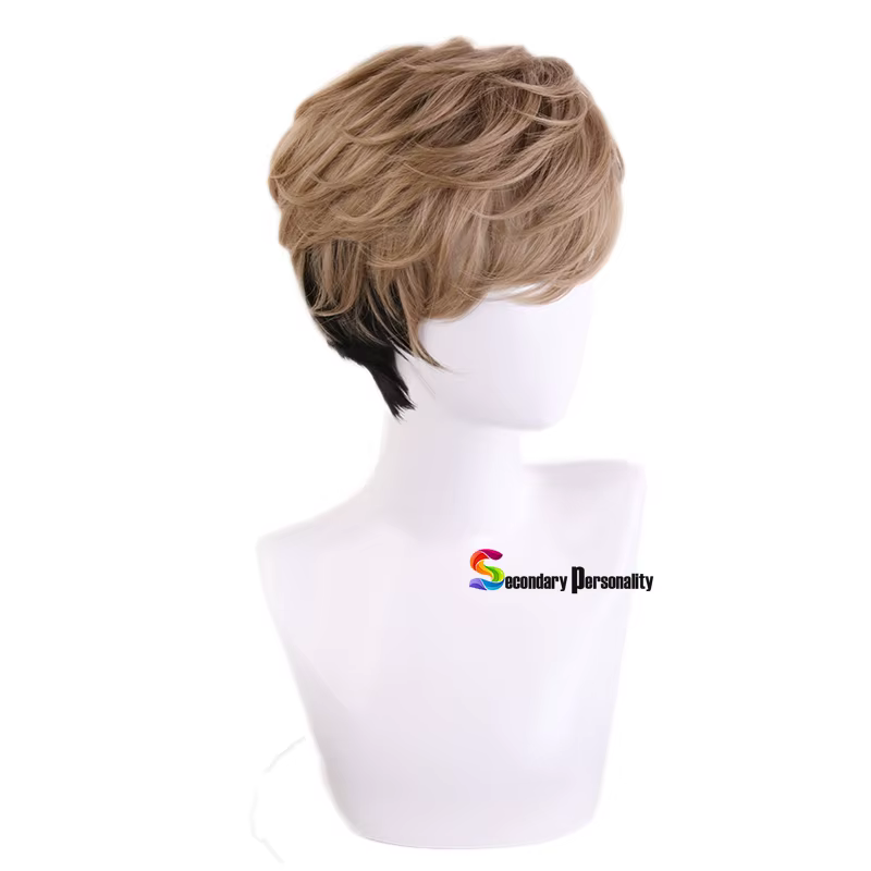 Perruque de Cosplay courte pour hommes