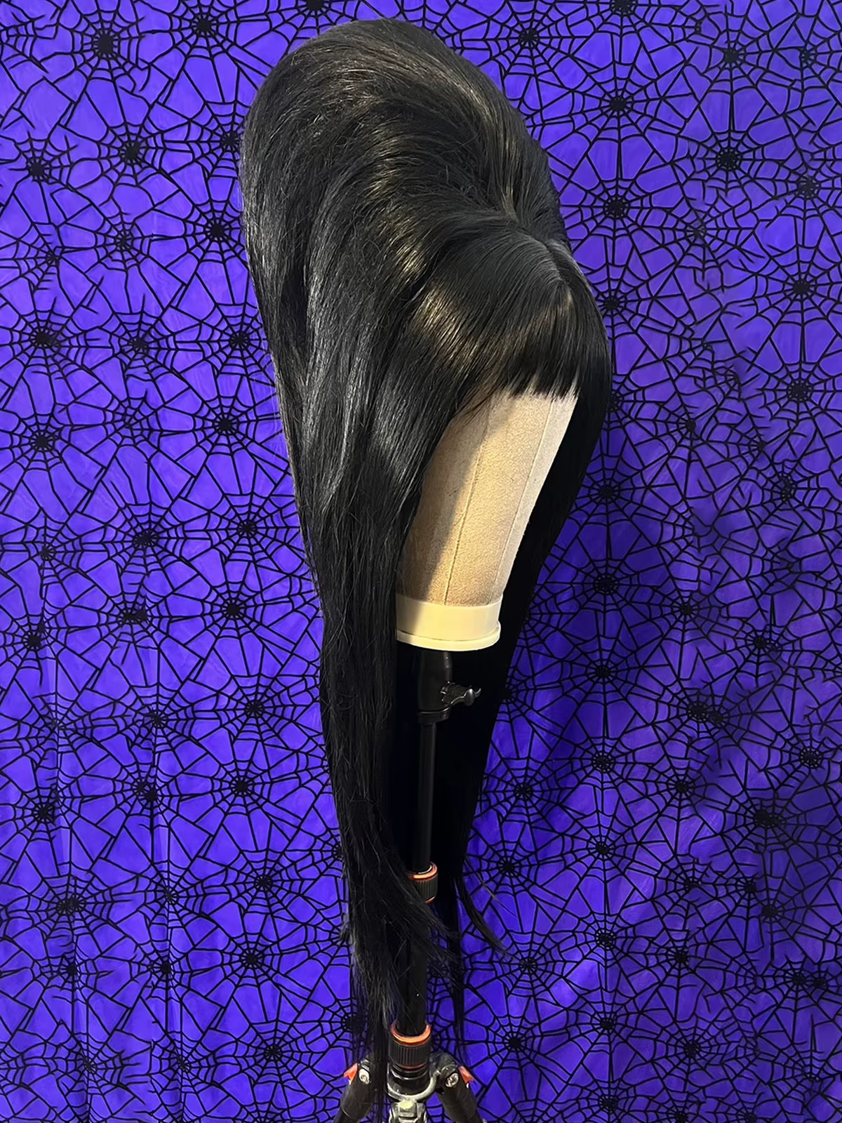 Perruque noire Elvira Mistress de 28 pouces pour accessoire de costume de cosplay