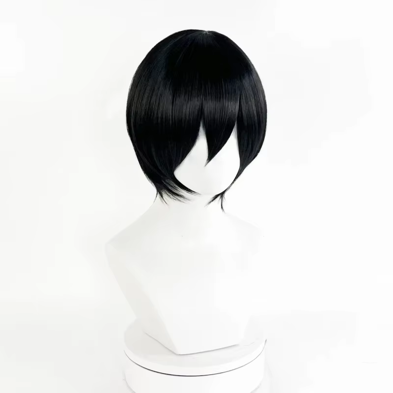 Perruque de Cosplay synthétique noire unisexe pour adultes