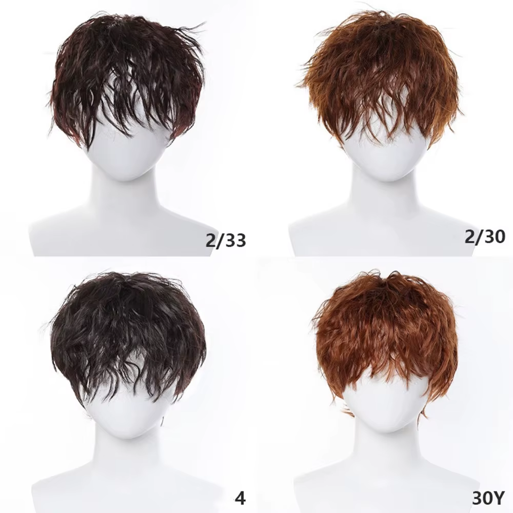  Perruque synthétique frisée crépue pour homme