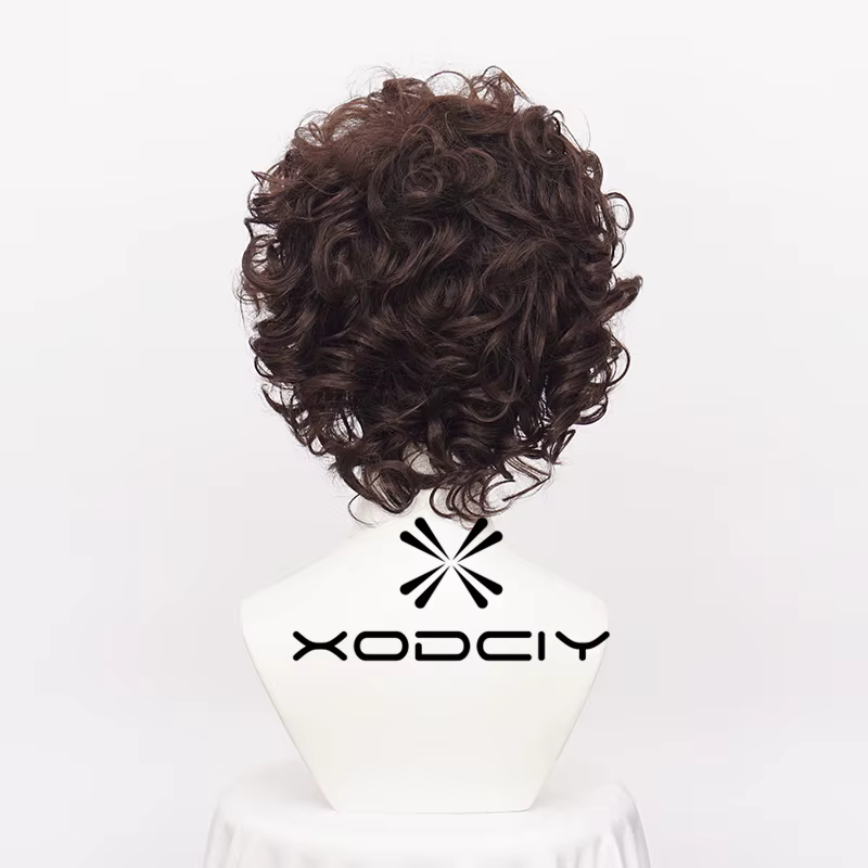 Frodo Baggins Cosplay perruque marron court bouclés résistant à la chaleur cheveux synthétiques jeu de rôle perruques +