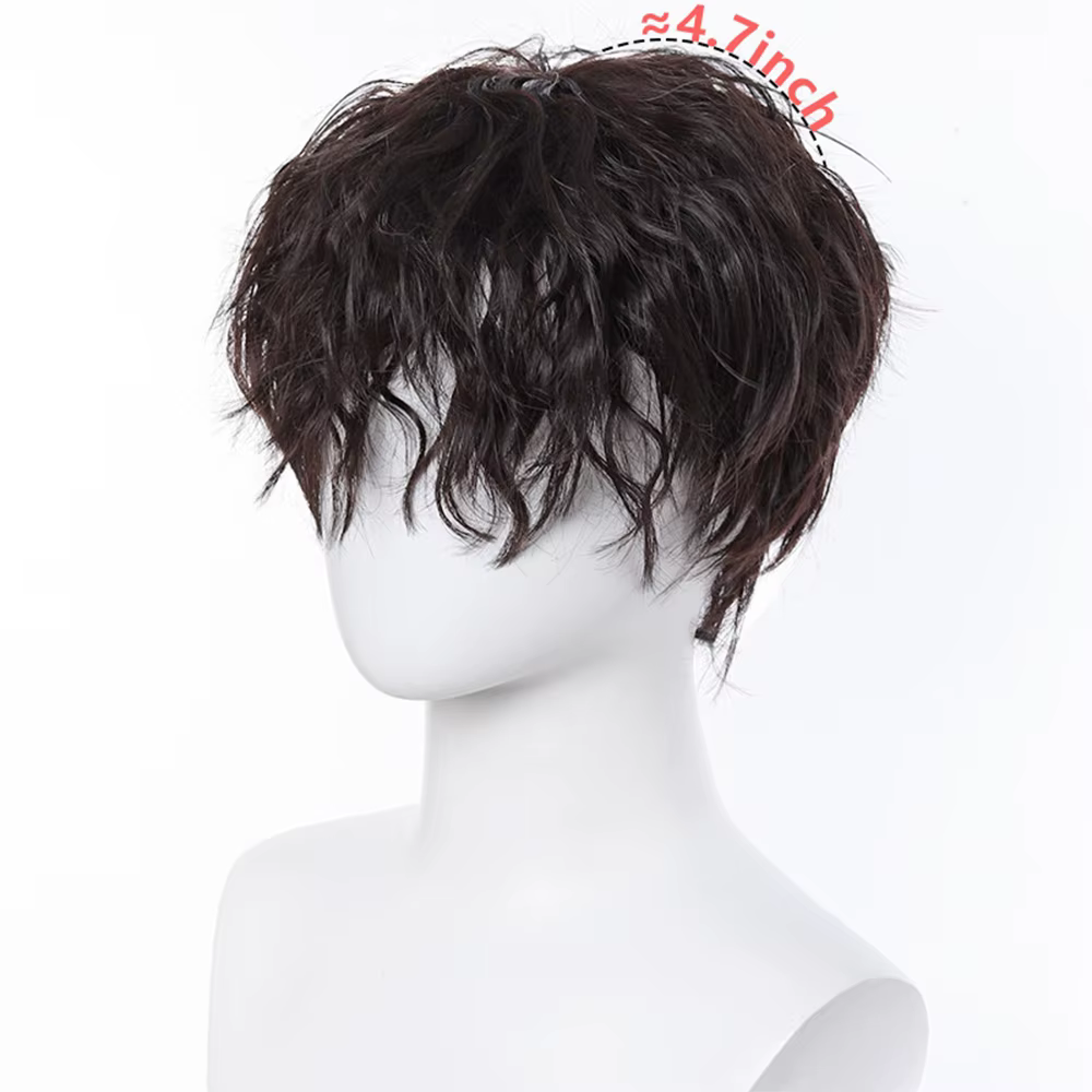  Perruque synthétique frisée crépue pour homme