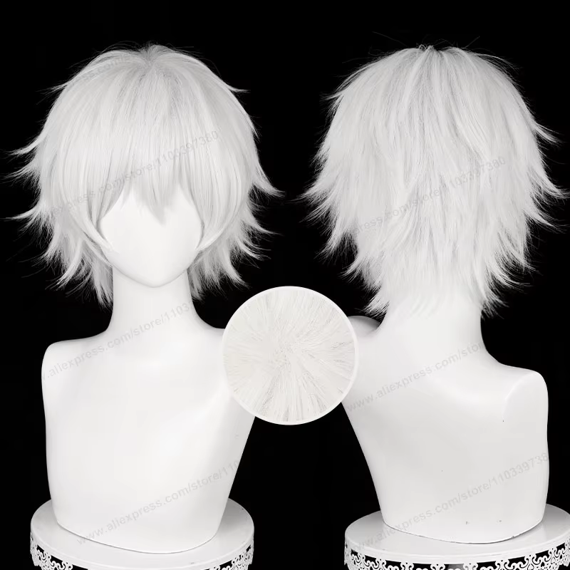 Kaneki Ken Cosplay perruque 30 cm court argent blanc homme cheveux Anime résistant à la chaleur perruques synthétiques