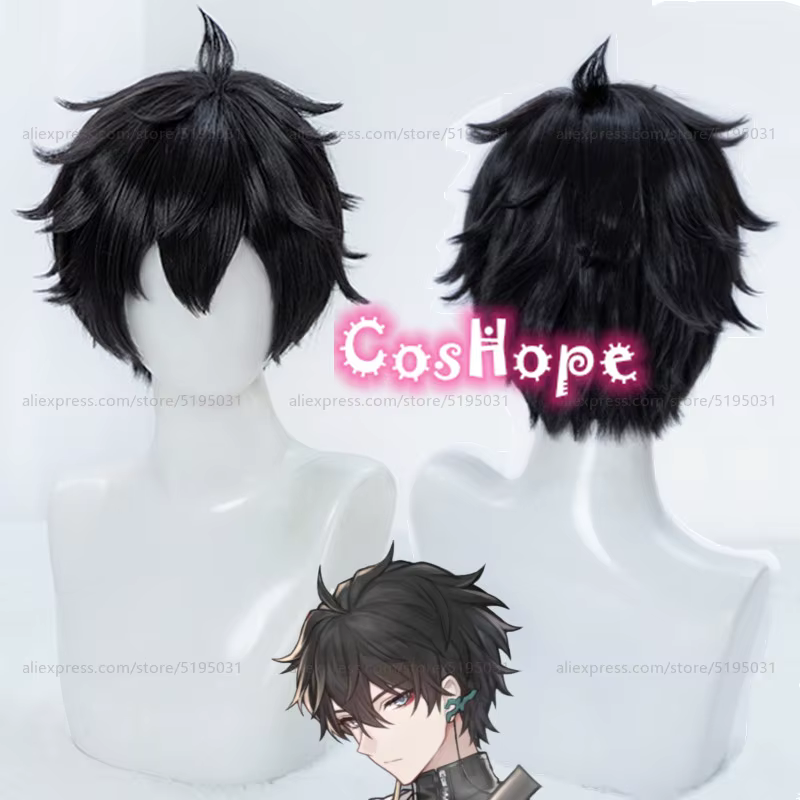 Dan Heng Cosplay perruque 30 cm perruque courte perruque noire Cosplay Anime Cosplay perruques résistant à la chaleur perruques synthétiques
