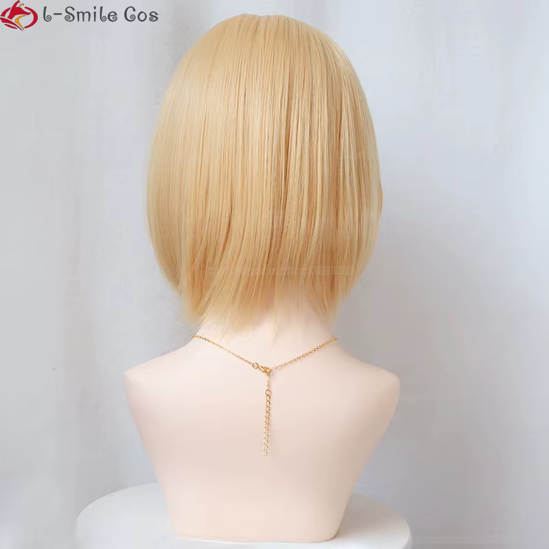 Anime Castle Wizard Howl Cosplay Perruque