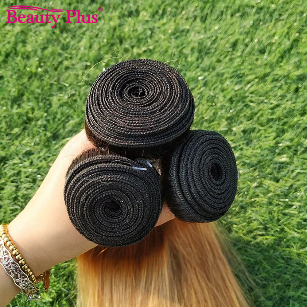 Mèches Brésiliennes 100% Naturelles Lisses Ombré