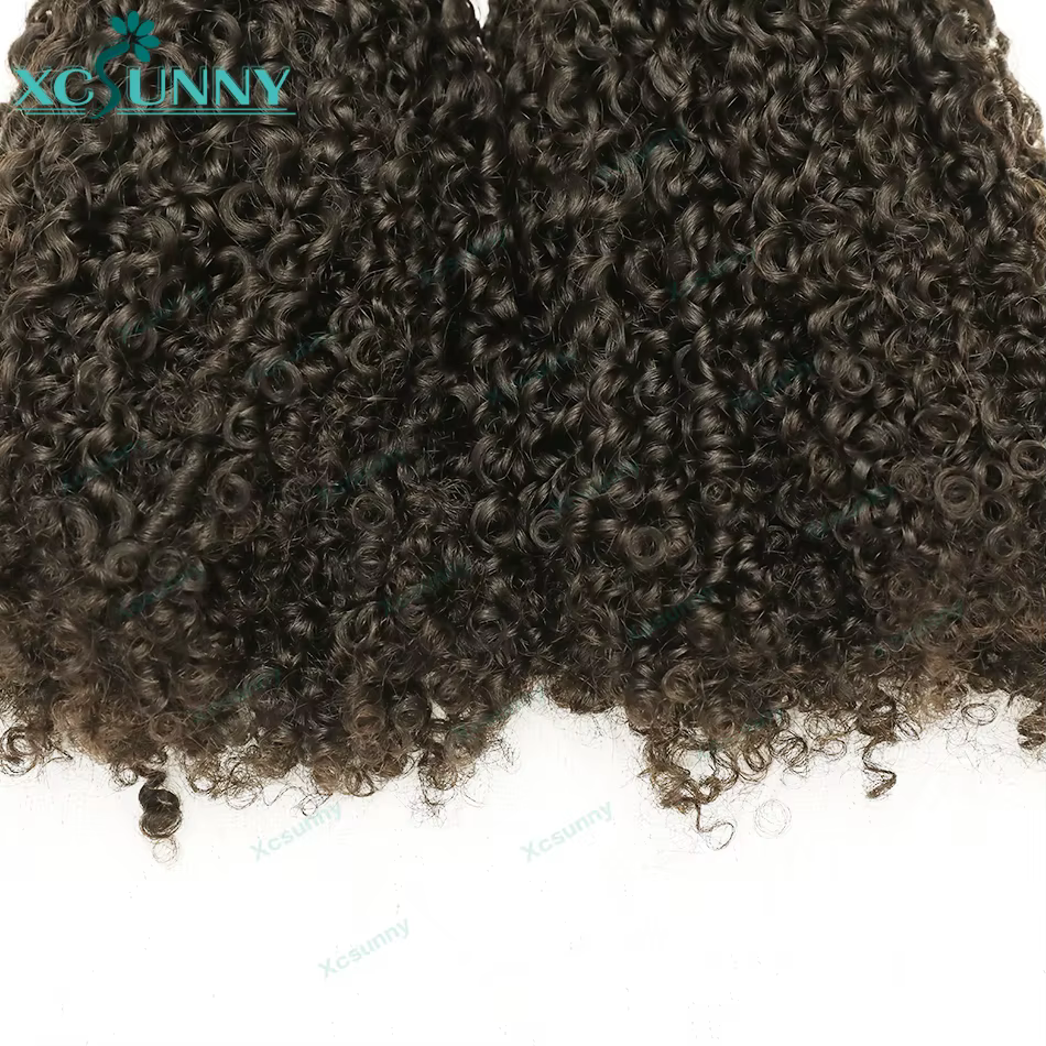 Extensions de Cheveux Humains Crépus et Bouclés pour Tressage