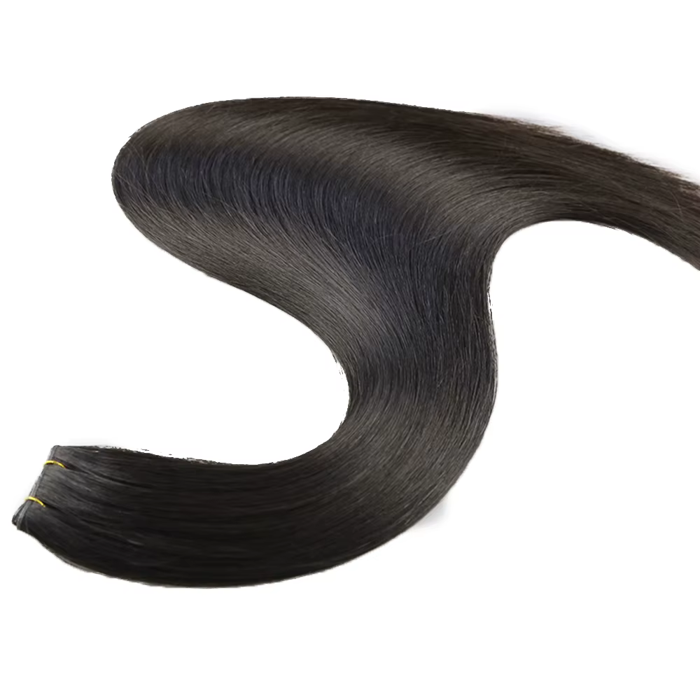 Extensions de cheveux de trame de génie vierge russe à Double tirage