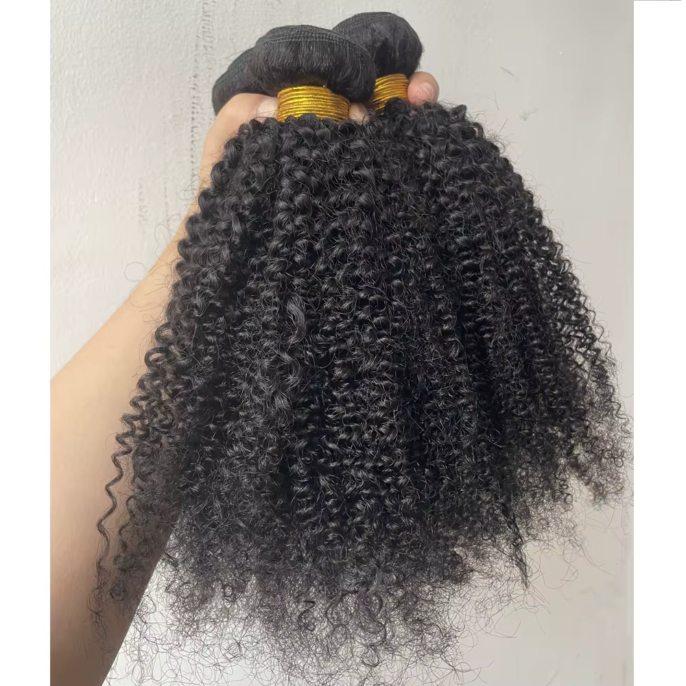 Extensions de cheveux humains brésiliens vierges bouclés afro