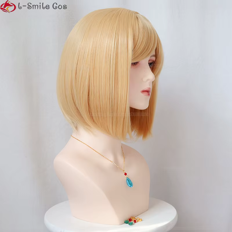 Anime Castle Wizard Howl Cosplay Perruque