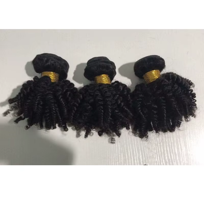 Perruque Afro Kinky Curly Spring Roll