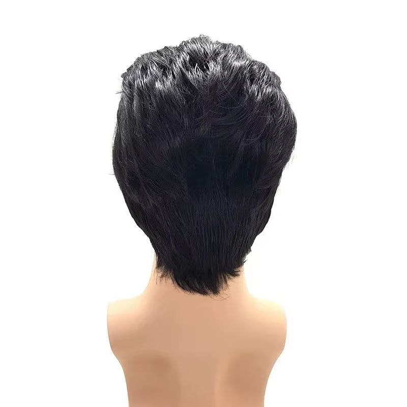 Perruque Elvis Presley pour hommes