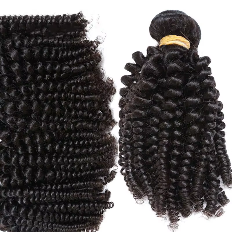 Perruque Afro Kinky Curly Spring Roll