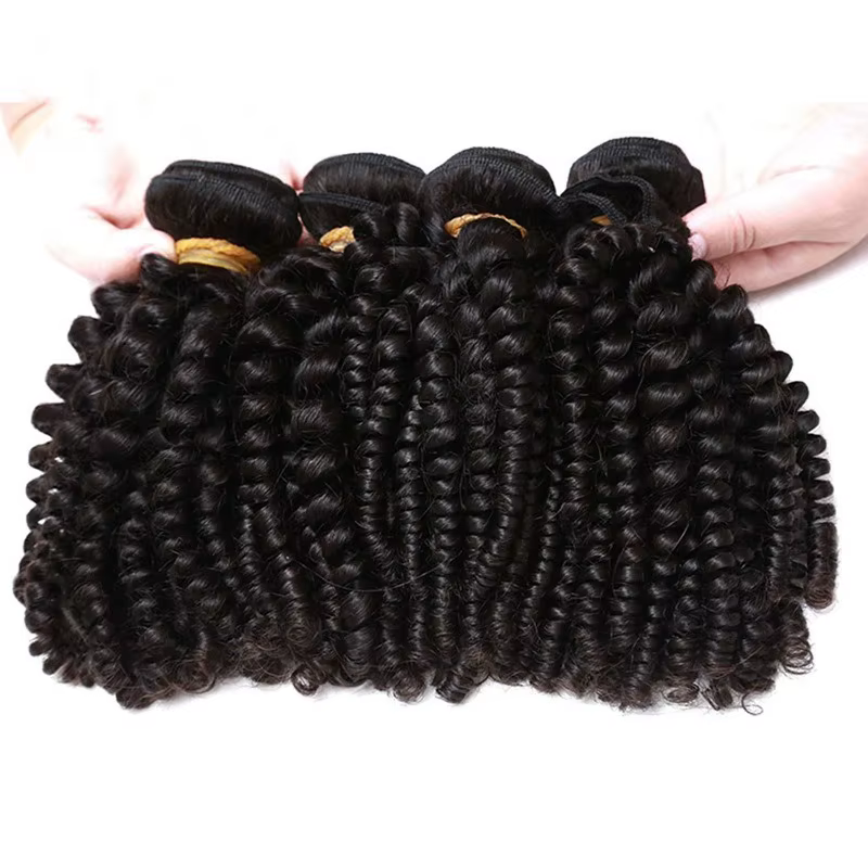 Perruque Afro Kinky Curly Spring Roll